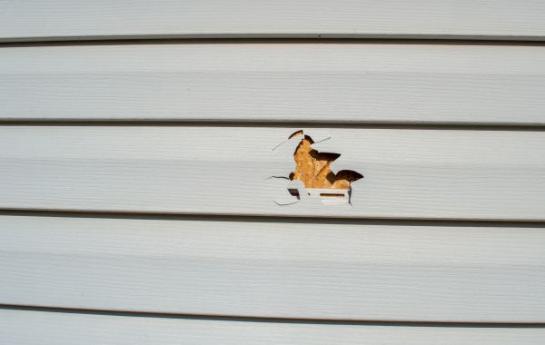 Cost of Siding Hole Repair in Mount Juliet