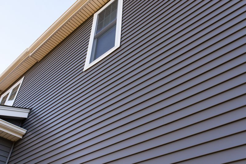 Colorful Vinyl Siding Options