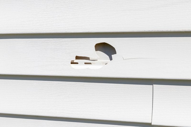 Repaired Vinyl Siding